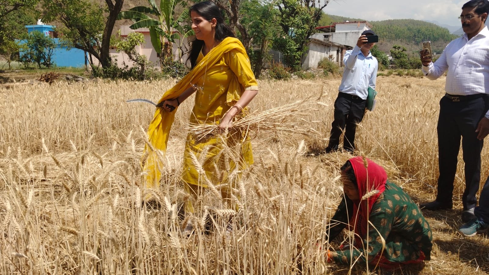 डीएम ने किया फसल कटाई प्रयोग का निरीक्षण