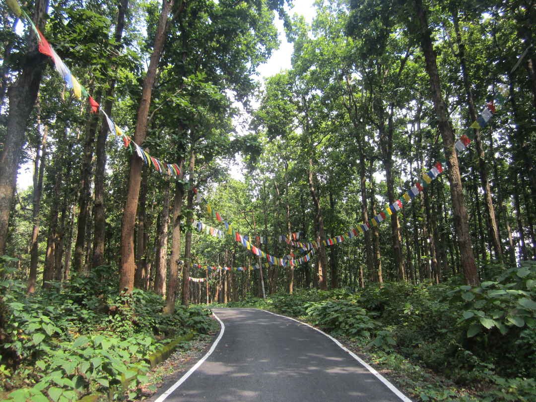 जनजीवन को सुरक्षित रखने के लिए पर्यावरण का सुरक्षित रहना बहुत जरूरी