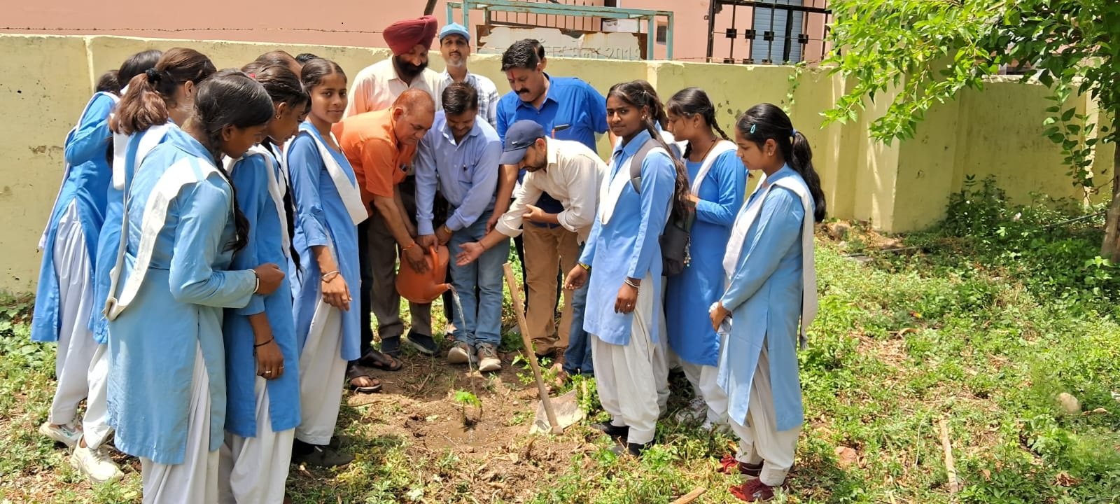 विश्व पर्यावरण दिवस के अवसर पर एनसीसी कैडेट ने पौधारोपण किया
