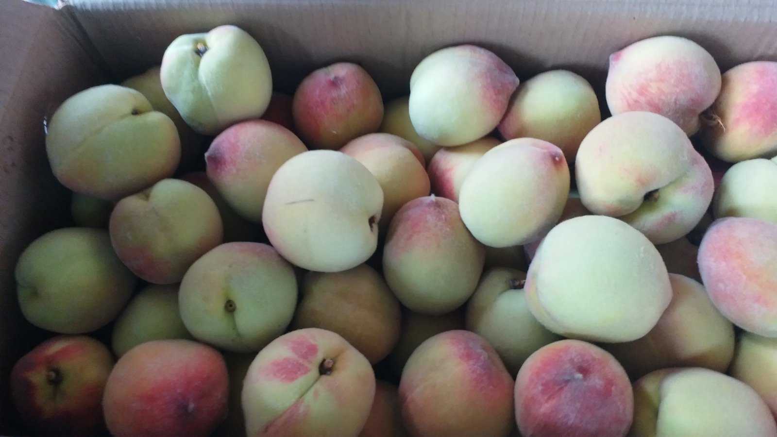 आड़ू में विटामिन सी भरपूर मात्रा में पाया जाता है