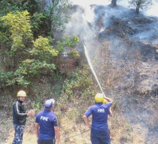 जंगल में लगी आग, कड़ी मशक्कत से पाया आग पर काबू