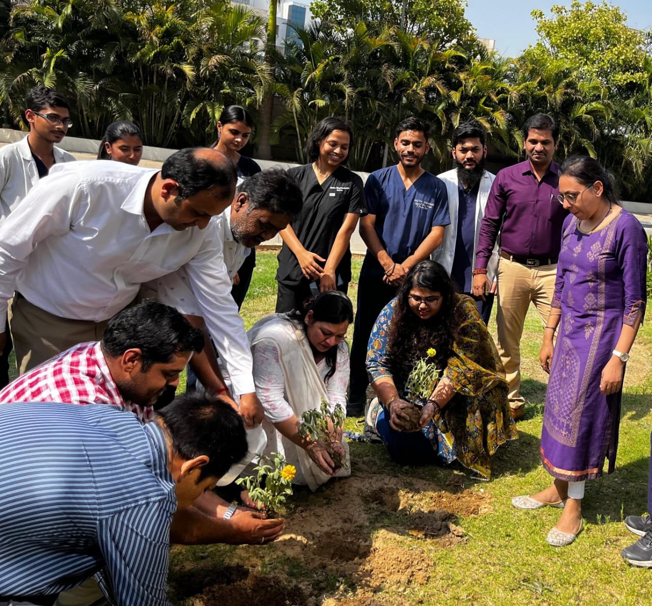 रोपित किए गए फूलों के पौधे
