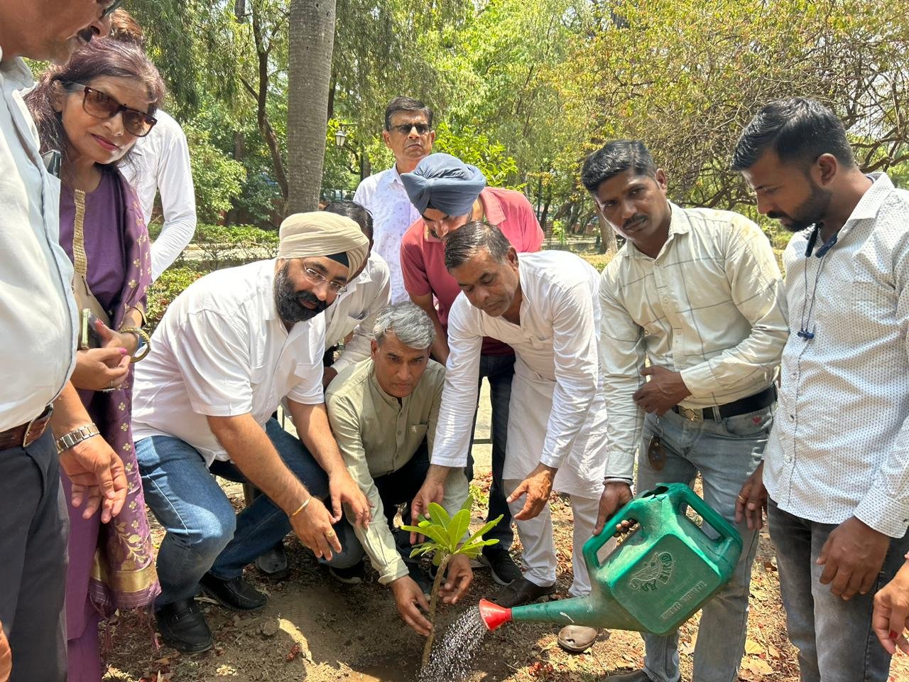 पर्यावरण सुरक्षा दिवस के रूप में मनाया गया राहुल गांधी जन्मदिवस