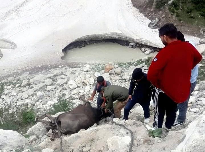 मानवता और मित्र पुलिस का मधुर संयोग