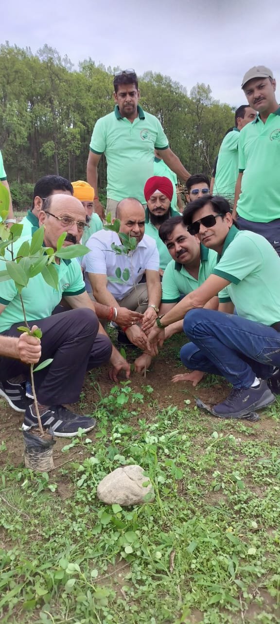 वन महोत्सव 2024 के अवसर पर किया वृक्षारोपण वन महोत्सव 2024 के अवसर पर किया वृक्षारोपण