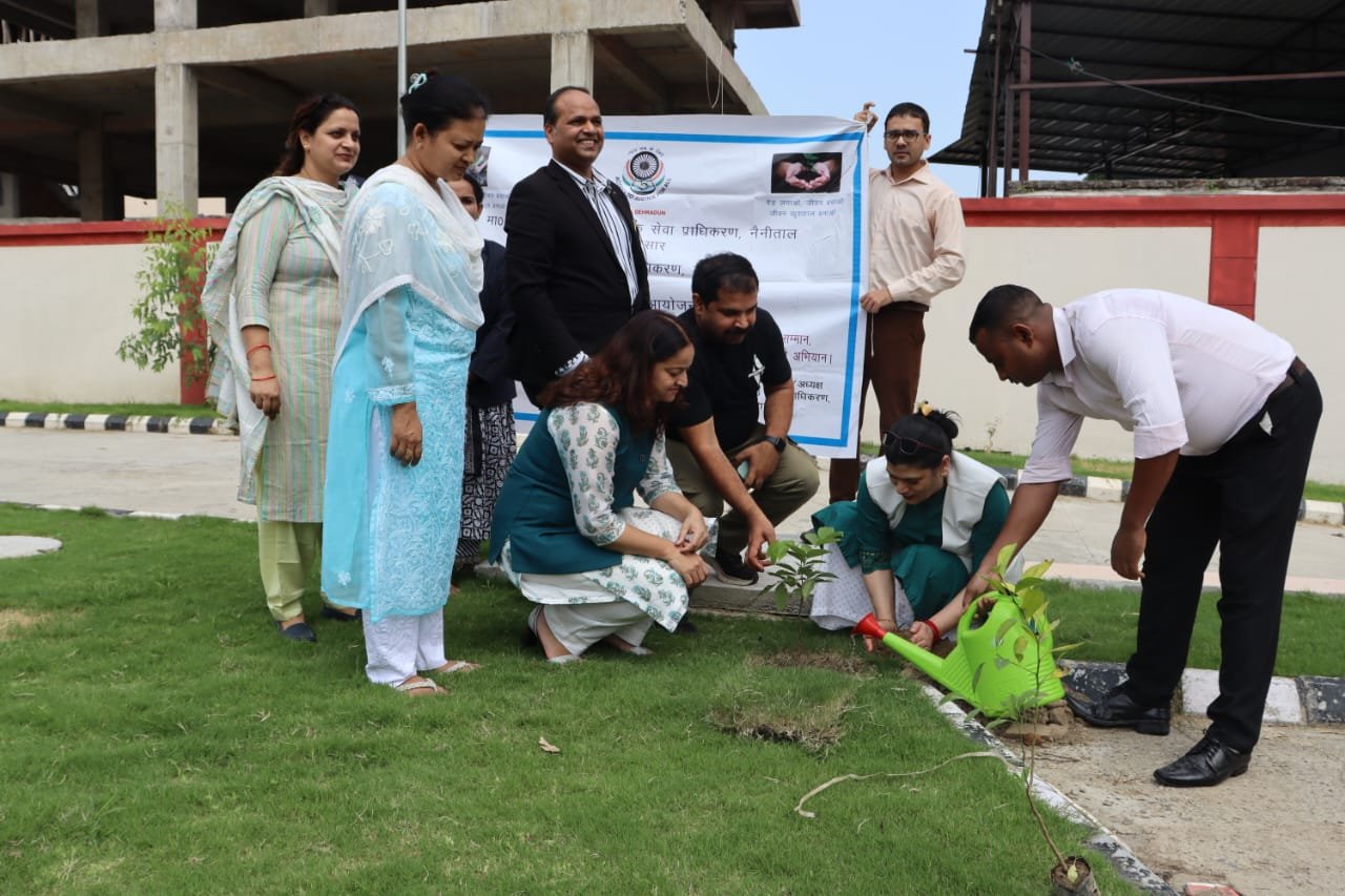 नए कोर्ट भवन के कैंपस पर  लगाए गए फलदार वृक्ष