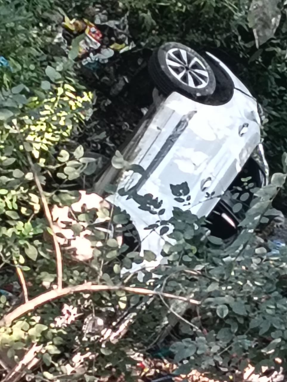 खाई में गिरी कार, चार घायल