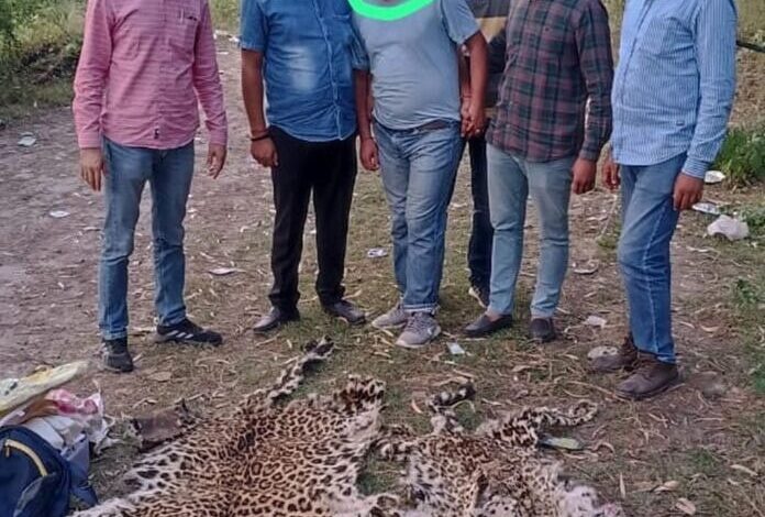 गुलदार की दो खालाेंं सहित वन्य जीव तस्कर गिरफ्तार