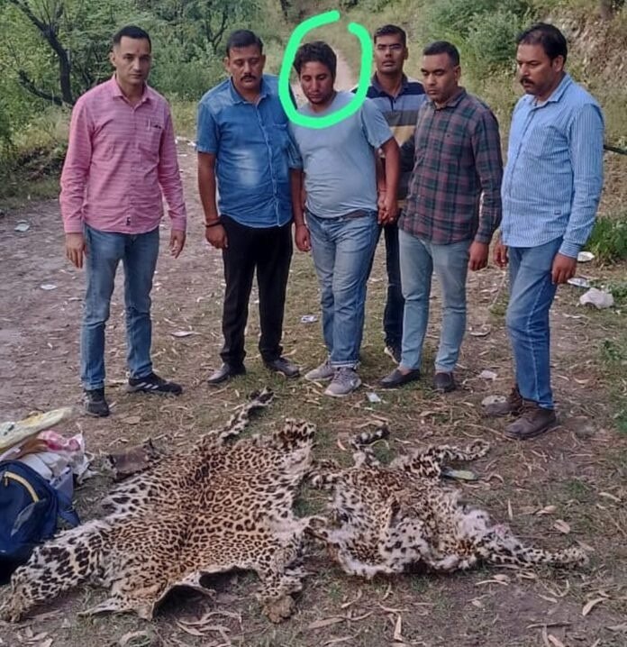 गुलदार की दो खालाेंं सहित वन्य जीव तस्कर गिरफ्तार