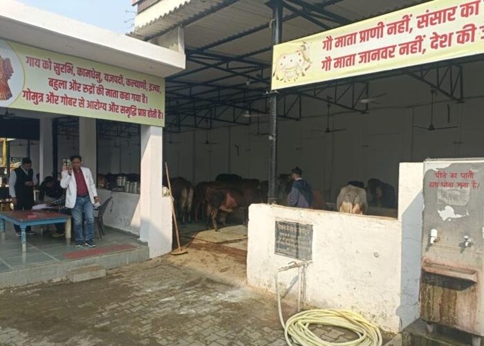 ज्वाइंट मजिस्ट्रेट रुड़की ने की गौशालाओं में छापेमारी