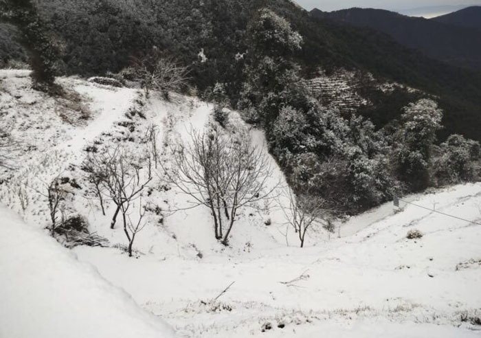 मौसम का बदला मिजाज: धामों में बिछी बर्फ की चादर