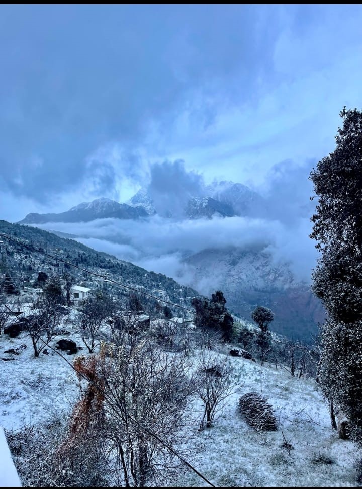 पहाड़ों की बर्फबारी ने छुड़ाई मैदान में कंपकंपी, 11 और 12 को बारिश का यलो अलर्ट