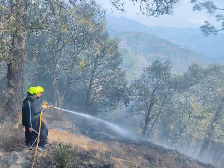 फायर फाइटर्स ने जंगल में लगी आग को बुझाया