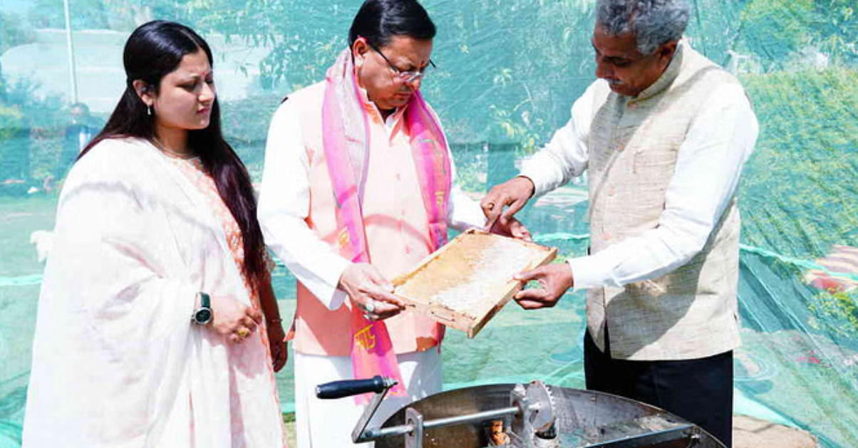 मौन पालन को बढ़ावा…सीएम आवास परिसर में निकाला गया शहद, 200 किलो तक रखा गया लक्ष्य