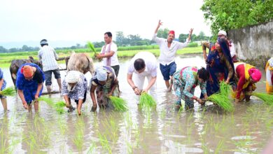 खेत में सीएम धामी: धान रोपाई कर अन्नदाताओं को दिया सम्मान..