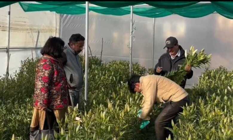 आत्मनिर्भर उत्तराखण्ड” का सपना हो रहा साकार” – सीएम धामी आत्मनिर्भर उत्तराखण्ड” का सपना हो रहा साकार” – सीएम धामी