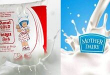 दूध ब्रांड्स की नई प्राइस लिस्ट: मदर डेयरी ने दिया तोहफा, अमूल और सांची ने जेब ढीली की