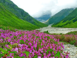 चमोली की फूलों की घाटी सीजन के लिए बंद, पिछले वर्ष की तुलना में घटी पर्यटकों की संख्या