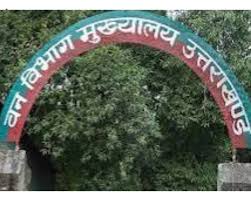 मसूरी वन प्रभाग में बड़ा खुलासा: 7,375 वन सीमा स्तंभ गायब, उत्तराखंड हाईकोर्ट ने केंद्र और CBI को भेजा नोटिस