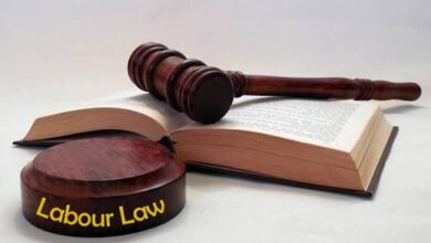 दिल्ली हाईकोर्ट का बड़ा फैसला: पायलट्स भी श्रम कानून के तहत ‘वर्कमैन’, सैलरी या पद नहीं बनेगा आधार