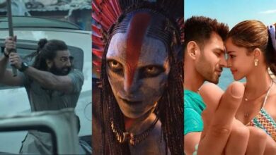 चौथे सप्ताह में भी स्थिर कमाई, फिल्म का बॉक्स ऑफिस पर दबदबा कायम