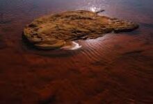 जापान को समुद्र में मिला ‘जादुई कीचड़’, चीन की रेयर अर्थ पकड़ तोड़ने की दिशा में बड़ी कामयाबी