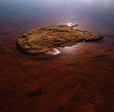 जापान को समुद्र में मिला ‘जादुई कीचड़’, चीन की रेयर अर्थ पकड़ तोड़ने की दिशा में बड़ी कामयाबी