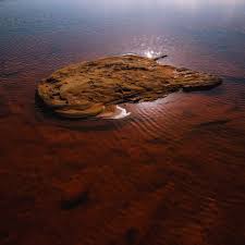 जापान को समुद्र में मिला ‘जादुई कीचड़’, चीन की रेयर अर्थ पकड़ तोड़ने की दिशा में बड़ी कामयाबी