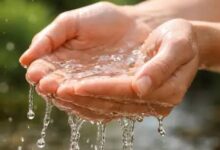 विश्व जल दिवस 2026: पानी की हर बूंद बचाने का संकल्प, पीएम नरेंद्र मोदी ने देशवासियों से जल संरक्षण के लिए आगे आने की अपील की