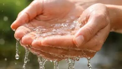 विश्व जल दिवस 2026: पानी की हर बूंद बचाने का संकल्प, पीएम नरेंद्र मोदी ने देशवासियों से जल संरक्षण के लिए आगे आने की अपील की