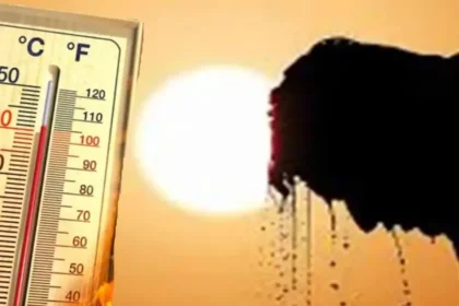 उत्तर भारत में भीषण गर्मी का कहर, Banda 47.4°C के साथ देश का सबसे गर्म शहर बना, Delhi और Rajasthan में हीटवेव को लेकर अलर्ट जारी