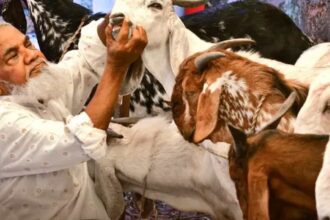उत्तराखंड में बकरीद की छुट्टी बदली, अब 28 मई को बंद रहेंगे सरकारी दफ्तर और हाईकोर्ट