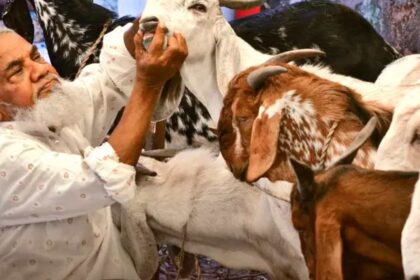 उत्तराखंड में बकरीद की छुट्टी बदली, अब 28 मई को बंद रहेंगे सरकारी दफ्तर और हाईकोर्ट