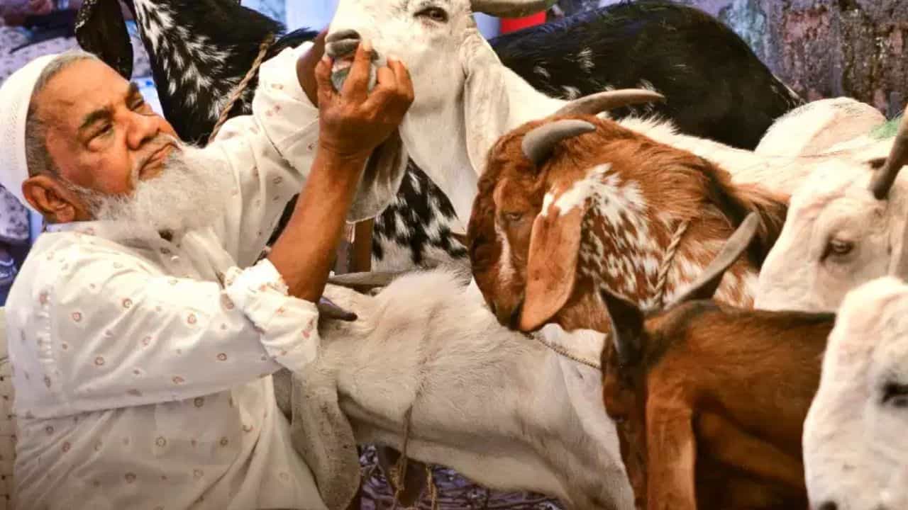 उत्तराखंड में बकरीद की छुट्टी बदली, अब 28 मई को बंद रहेंगे सरकारी दफ्तर और हाईकोर्ट